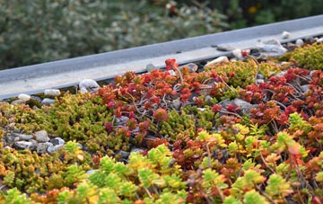 the cost of Coldblow green roof installation