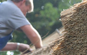 professional Coldblow thatchers